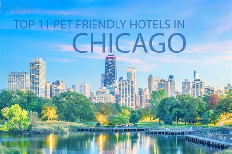 Pet friendly hotels in chicago il 99 6